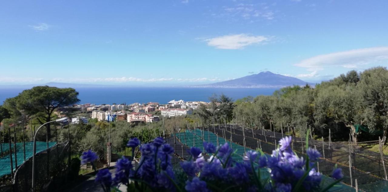 Sorrento Dolce Casa Appartement Buitenkant foto